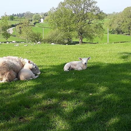 Ewe Retreat Shepherds Hut Герефорд Екстер'єр фото
